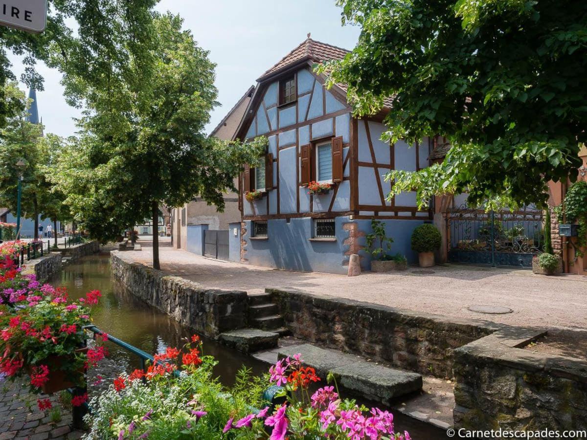 Gite Du Brocanteur Scherwiller Bagian luar foto